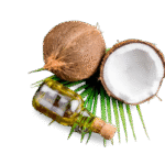 Virgin Coconut Oil – Creamer: Ingredient Of MV Miracle Gourmet Coffee