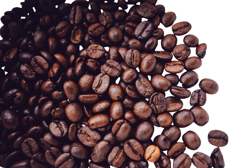 Arabica coffee